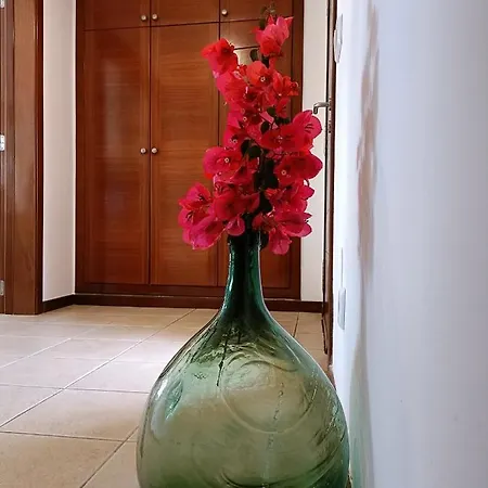 Vega Relax En El Paraiso Villa Es Mercadal