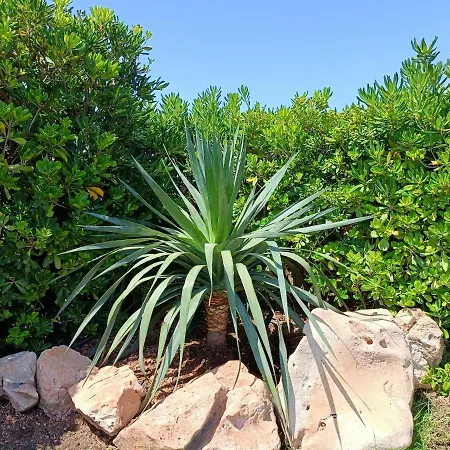 Vega Relax En El Paraiso